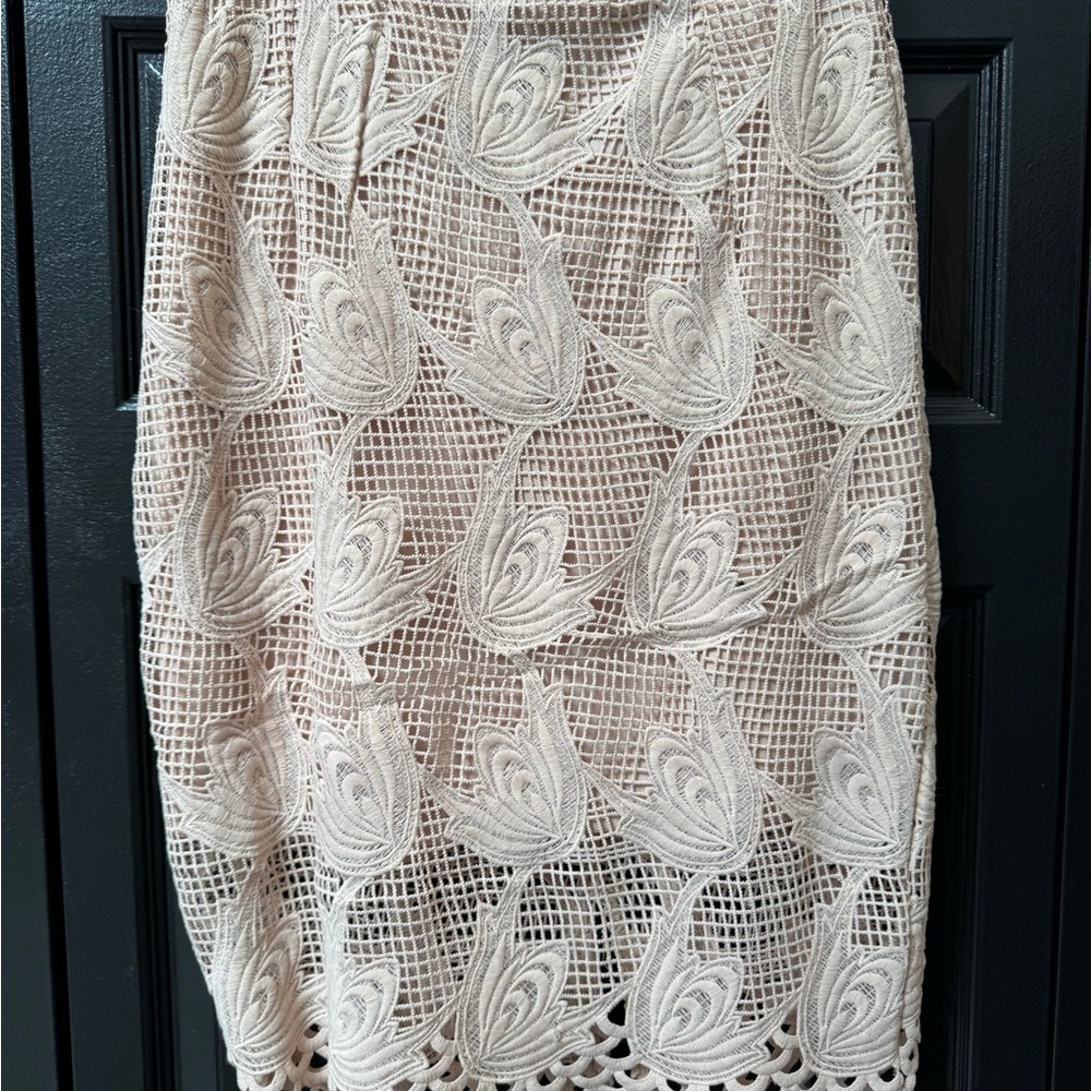 Elegant light pink  Lace Skirt